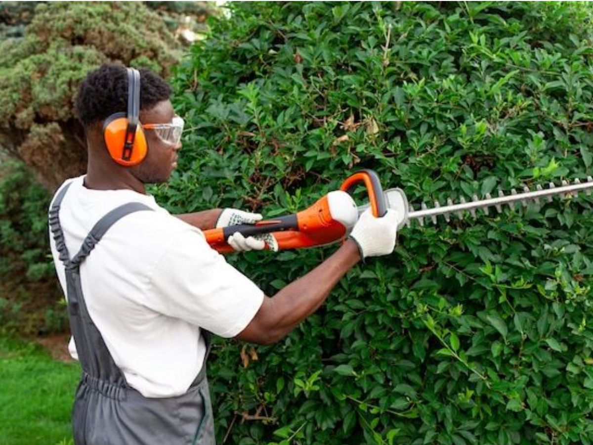 Garden Services & Maintenance